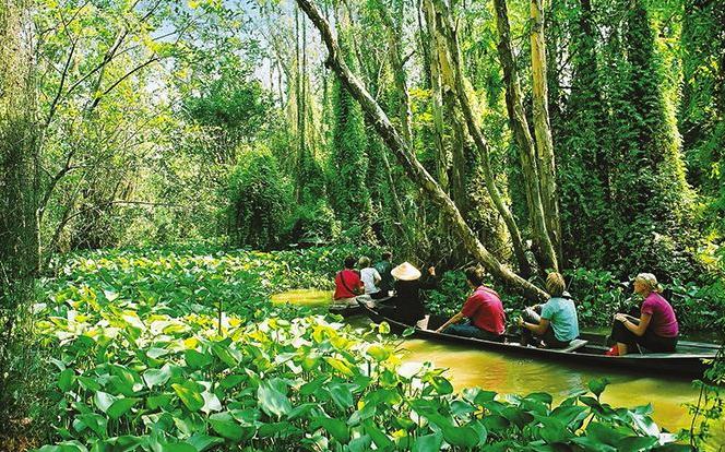 Xe du lịch 45 chỗ