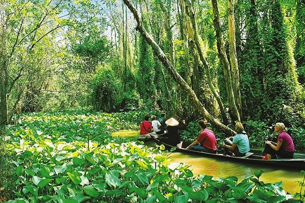 Xe du lịch 45 chỗ