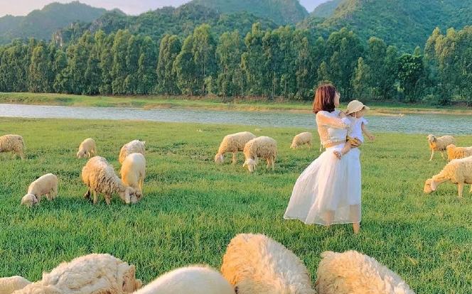 Xe SUV / MPV cao cấp