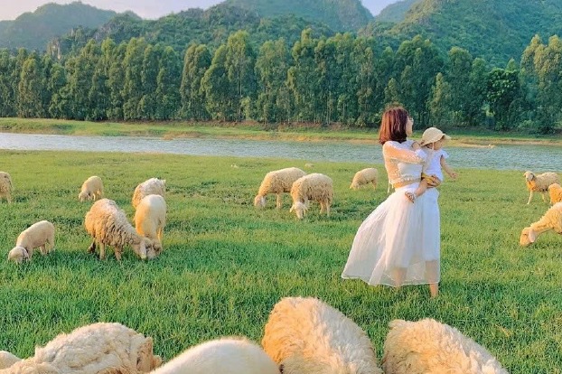 Xe du lịch 45 chỗ